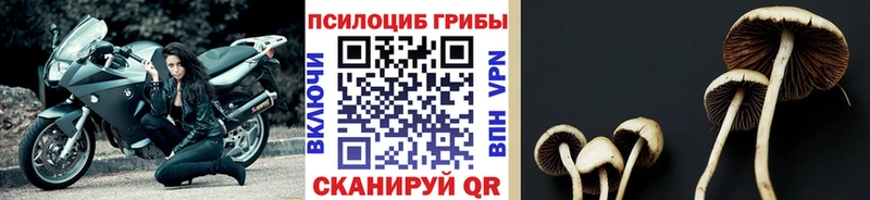 мориарти наркотические препараты  Байкальск  Галлюциногенные грибы прущие грибы 